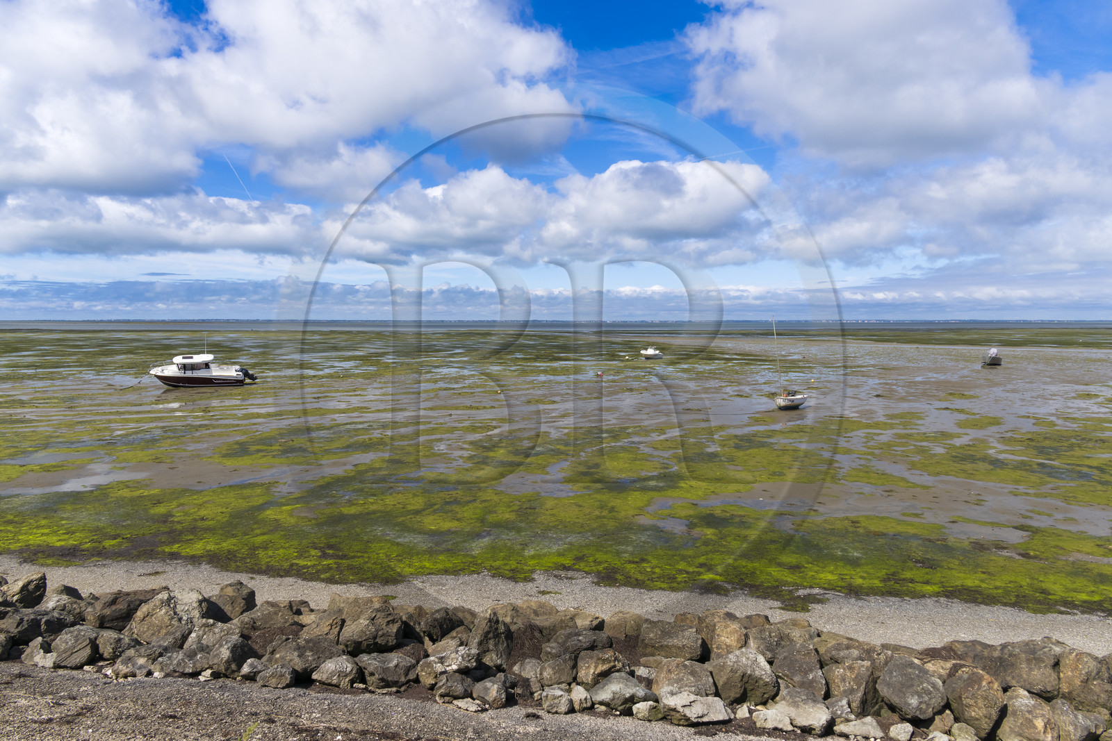 France, Vendee, Noirmoutier island, Barbatre, the sea at low tide in front of the dyke between the Port de Bonhomme and the Passage du Gois