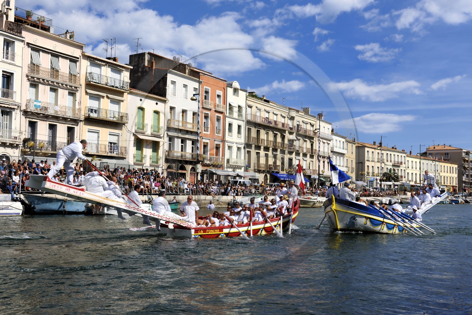 France, Hérault (34), Sète, canal Royal, fête de la Saint Louis, joutes sètoises France, Hérault (34), Sète, canal Royal, fête de la Saint Louis, joutes sètoises