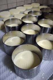 France, Haut Rhin, Kruth, ferme auberge marcaire du Schafert (farmhouse inn Schafert), manufacture of AOP munster cheese