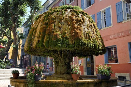 France, Var (83), Provence Verte, Barjols, fontaine dite du champignon recouverte de tuf et de mousse devant l'hotel de ville