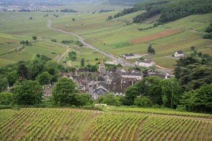 France, Côte d'Or (21), Pernand-Vergeles et la côte de Beaune