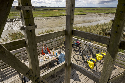 France, Loire-Atlantique (44), Lavau-sur-Loire, collection d'art contemporain à ciel ouvert Estuaire, l’Observatoire réalisé par l'artiste Tadashi Kawamata