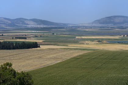 Israel,  Northern District, Galilee, Jezreel Valley,