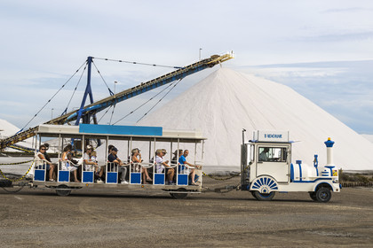 France, Gard (30), Aigues-Mortes, visite du salin d'Aigues-Mortes (Salins du Midi) en petit train et montagne de sel stocké