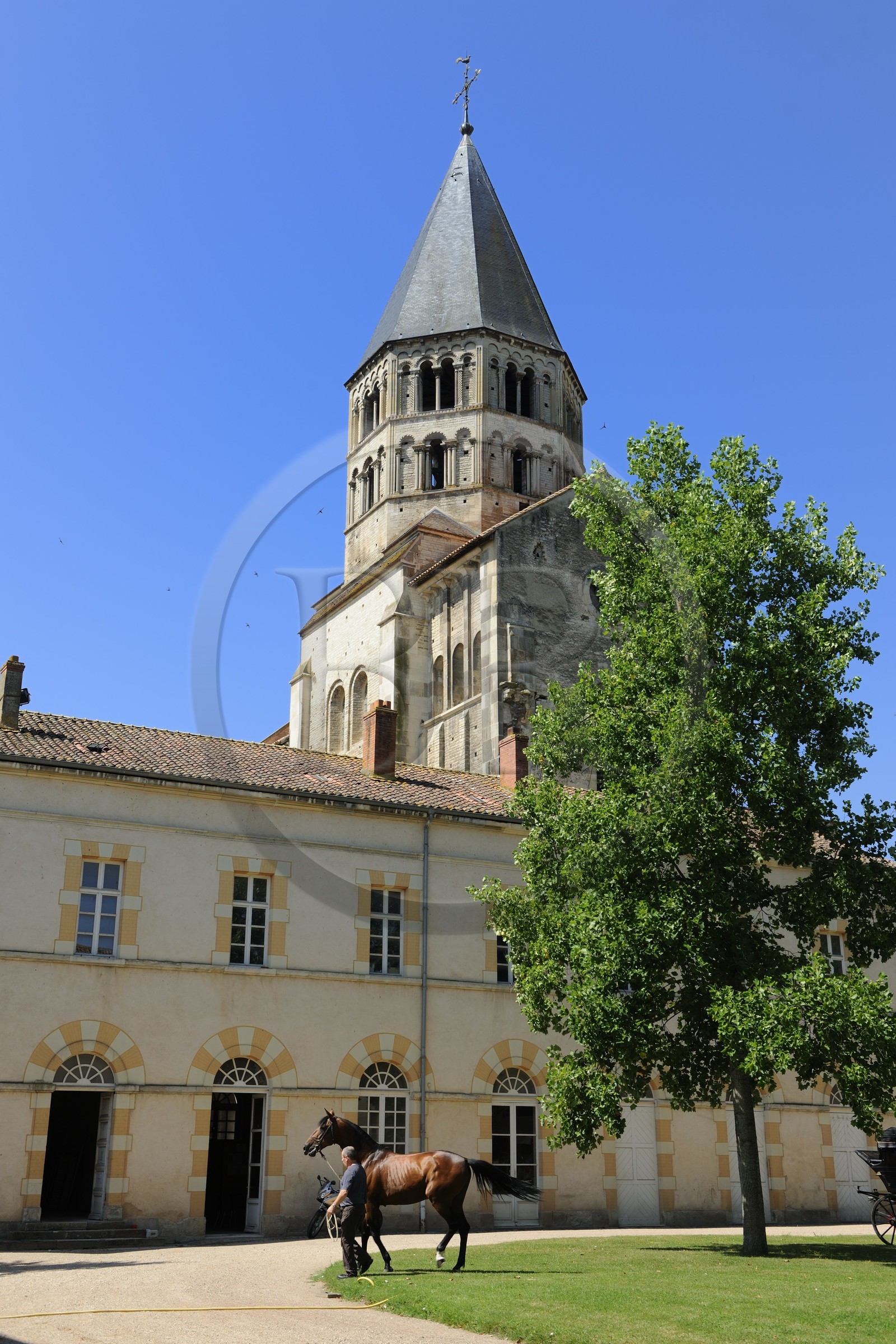 France, Saône et Loire (71), Cluny, le Haras national accolé au clocher de l'Eau Bénite de l'ancienne abbaye