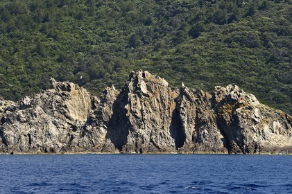 France, Var (83), Iles d'Hyères, Parc national de Port Cros, Ile de Port-Cros, plage de la Palud, le rocher du Rascas