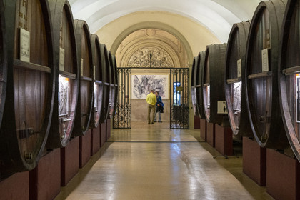 France, Cote d'Or, Climats terroirs of Burgundy listed as World Heritage by UNESCO, Beaune, the cellars of Maison Patriarche, a wine merchant-breeder company, interspersed with contemporary works of art from the In Situ gallery, A Cartographie du Silence (2022) by artist Géraud Vogt