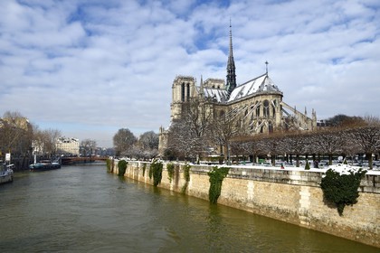 France, Paris (75), les rives de la Seine, classées Patrimoine Mondial de l'UNESCO, la Seine en crue et la Cathédrale Notre-Dame sous la neige sur l'Ile de la Cité et le quai de l'Archevêché