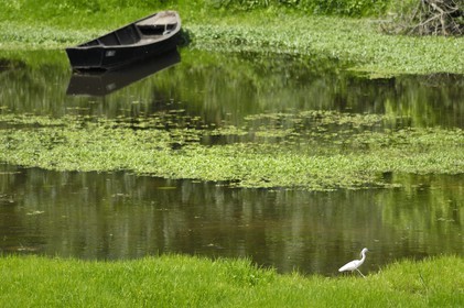 France, Indre et Loire, Loire Valley listed as World Heritage by UNESCO,  banks of the Loire River west of Villandry