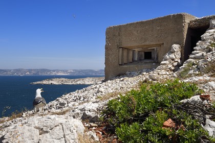 France, Bouches-du-Rhône (13), Marseille, Parc National des Calanques, Archipel des Iles du Frioul, Ile de Pomègues, batterie française du sémaphore (1880-1883), petit bunker allemand qui a conservé ses coffrages en bois