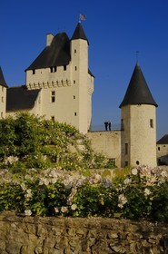 France, Indre et Loire, Chateau du Rivau