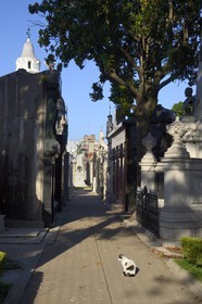 Argentina, Buenos Aires, La Recoleta Graveyard