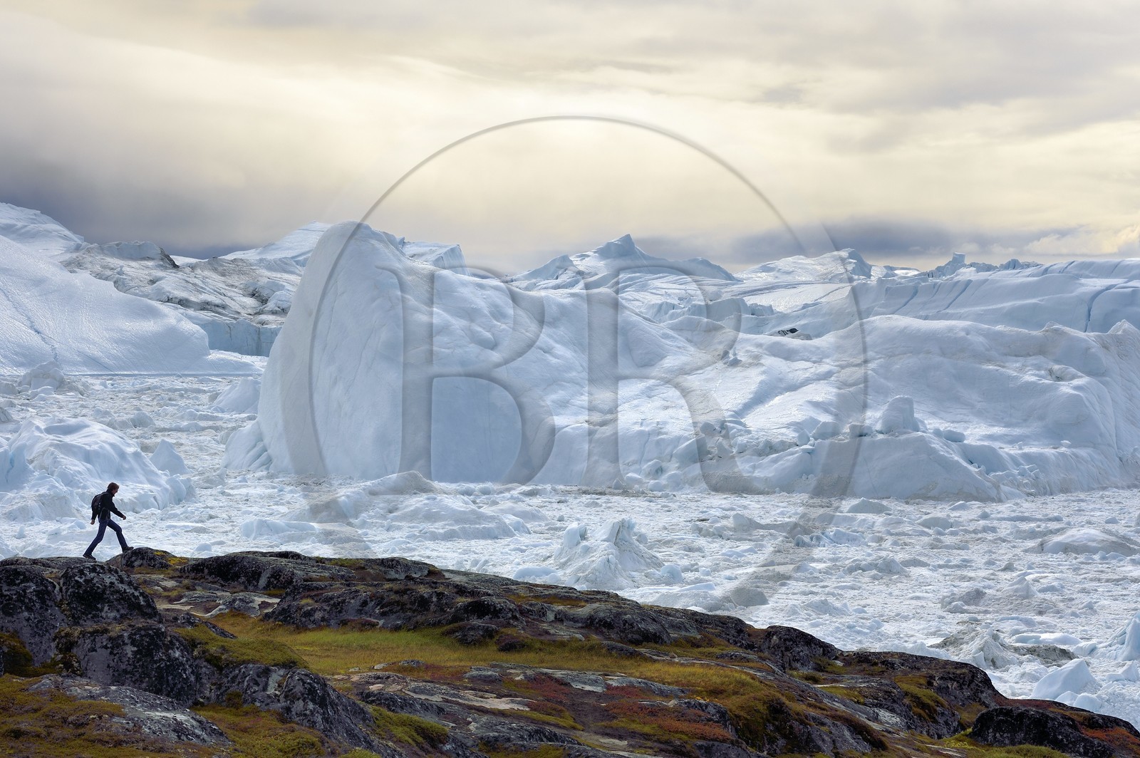 Groenland, cote ouest, baie de Disko, Ilulissat, randonneur en bordure du fjord glacé classé Patrimoine Mondial de l'UNESCO qui est l’embouchure maritime du glacier Sermeq Kujalleq (Jakobshavn Glacier)