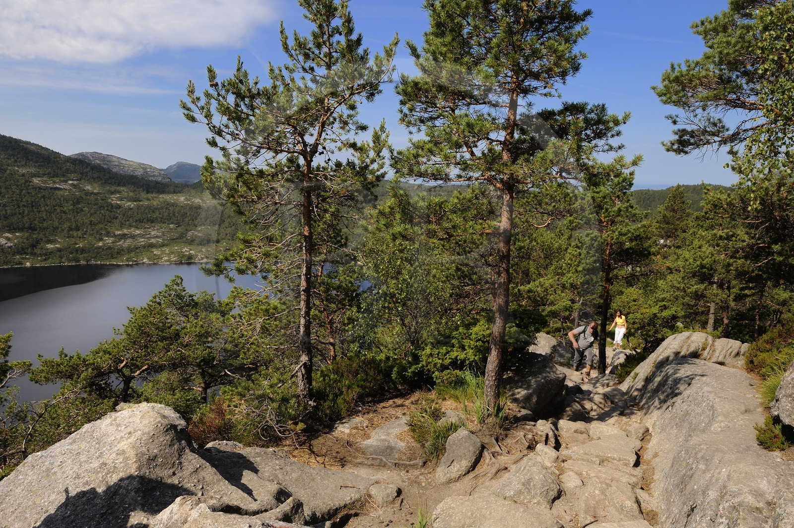 Norvège, Rogaland, région du Lysefjord, chemin de randonnée menant au Rocher de La Chaire (Preikestolen)