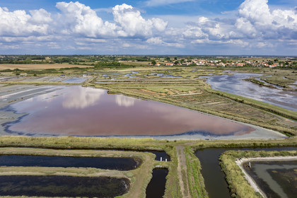 France, Vendée (85), Talmont Saint Hilaire, Guittière salt marshes in the hinterland of Pointe du Payré (aerial view)