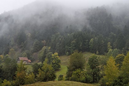 France, Haut Rhin, Ballons des Vosges Regional Natural Park, Storckensohn, La Tete des Perches mountain, the meadow chaume de Gazon vert, beech and pine forest over the refuge in a former farm
