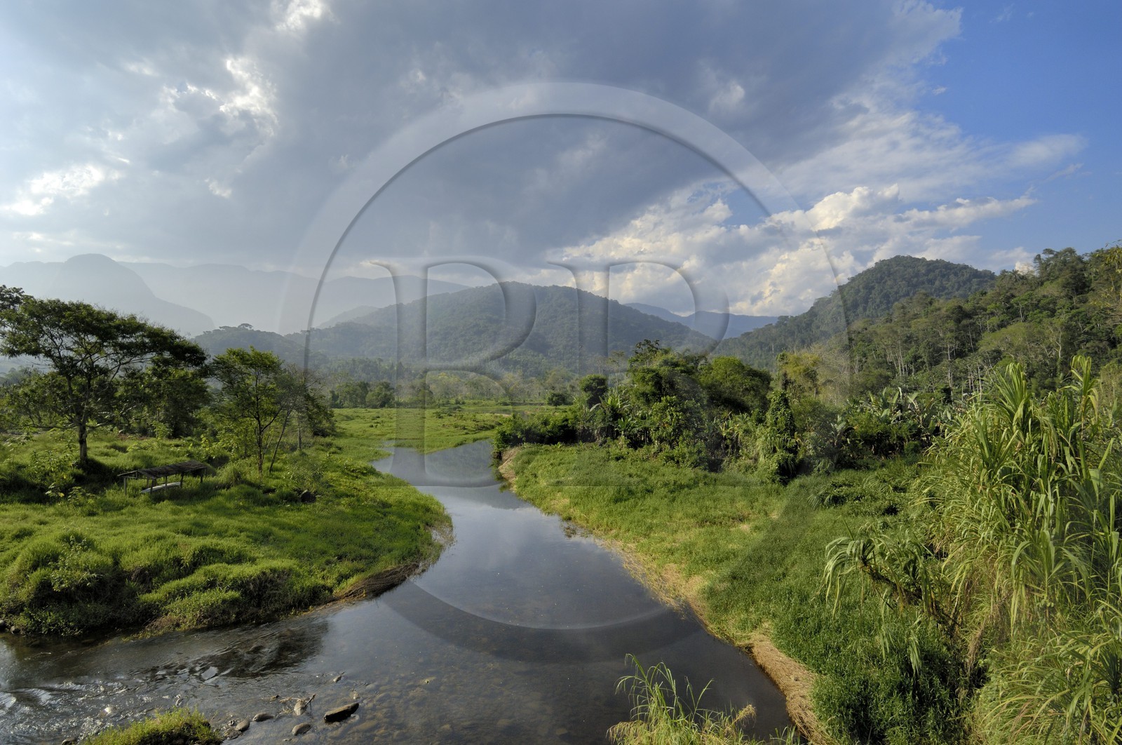 Brésil, Etat de Rio de Janeiro, le Rio Barra Grande qui descent des montagnes du Parque Nacional de Serra da Bocaina en bordure de la baie de Paraty (Route de l'or, Estrada Real)