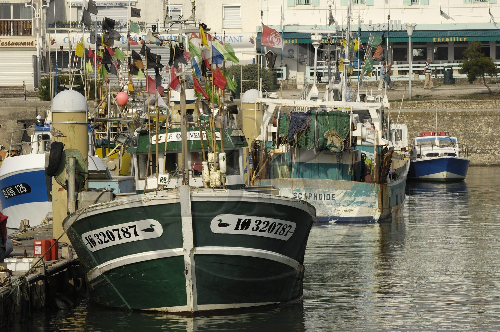 France, Charente-Maritime (17), Ile d'Oléron, port de la Cotinière