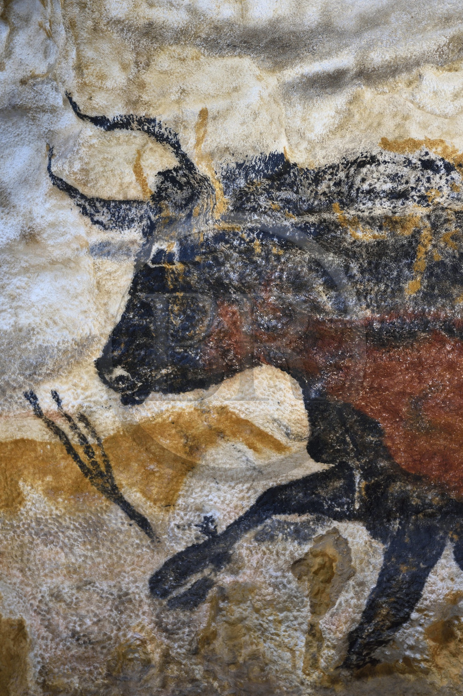 France, Dordogne (24), Montignac, l’Atelier des Fac-Similés du Périgord (AFSP) spécialisé dans la reproduction minérale de parois ornées de la préhistoire et en charge de la reconstitution fidèle des parois de la grotte de Lascaux, Aurochs, mention obligatoire Atelier des Fac-Similés du Périgord France, Dordogne (24), Montignac, l’Atelier des Fac-Similés du Périgord (AFSP) spécialisé dans la reproduction minérale de parois ornées de la préhistoire et en charge de la reconstitution fidèle des parois de la grotte de Lascaux, Aurochs, mention obligatoire Atelier des Fac-Similés du Périgord