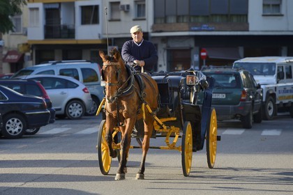 Espagne, Andalousie, Séville,