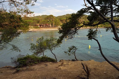 France, Var (83), Iles d'Hyères, parc national de Port Cros, Ile de Porquerolles, Anse du bon Renaud, plage d'Argent