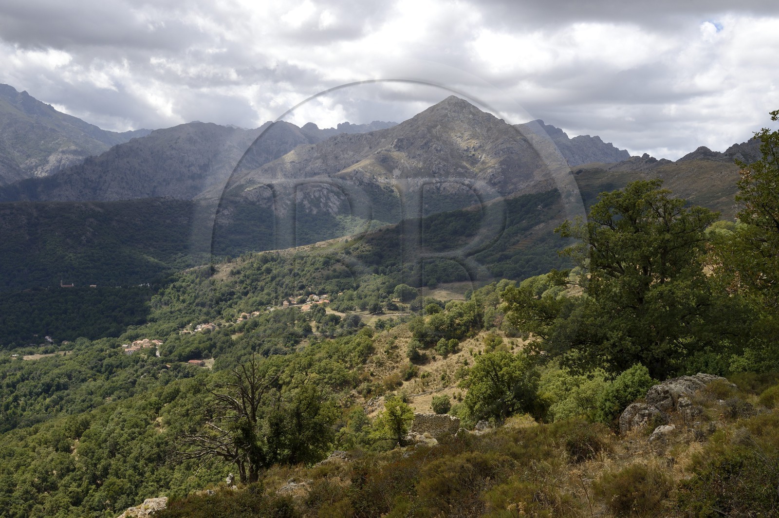 France, Haute-Corse (2B), Balagne, les montagnes qui bordent Le Giussani depuis la Bocca di a Battaglia et la forêt de Tartagine qui monte à l’assaut du Monte Padro France, Haute-Corse (2B), Balagne, les montagnes qui bordent Le Giussani depuis la Bocca di a Battaglia et la forêt de Tartagine qui monte à l’assaut du Monte Padro