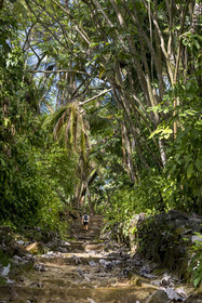 France, French Guiana, Kourou, Salvation Islands (Iles du Salut), Saint Joseph Island, access staircase to the penal colony