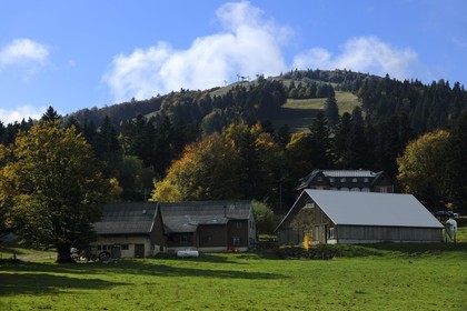 France, Haut-Rhin (68), la route des Crêtes, ferme auberge marcaire du Grand Hêtre