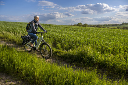 France, Vendee, Saint-Aubin-des-Ormeaux, on the Vendée Vélo Tour cycle route
