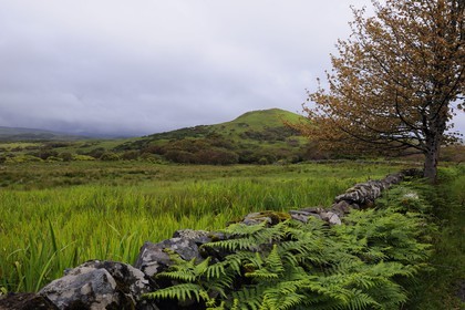 Royaume-Uni, Ecosse, Hébrides intérieures, Ile de Islay, paysage de la côte Est