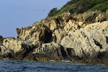 France, Var (83), Iles d'Hyères, parc national de Port Cros, Ile de Port-Cros, l'Ile de Bagaud qui est une réserve intégrale, roches métamorphiques anciennes de gneiss et de micaschistes