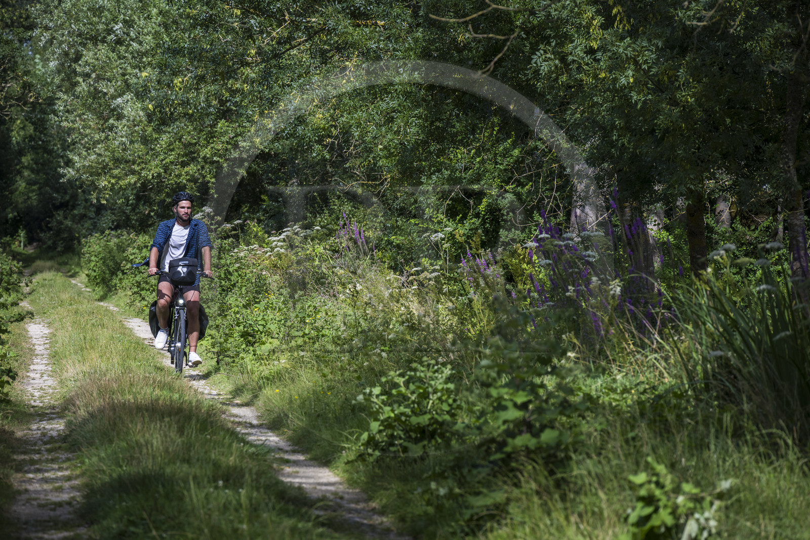 France, Deux-Sèvres (79), le Marais Poitevin, la Venise Verte, Le Vanneau-Irleau, randonnée à bicyclette le long des canaux
