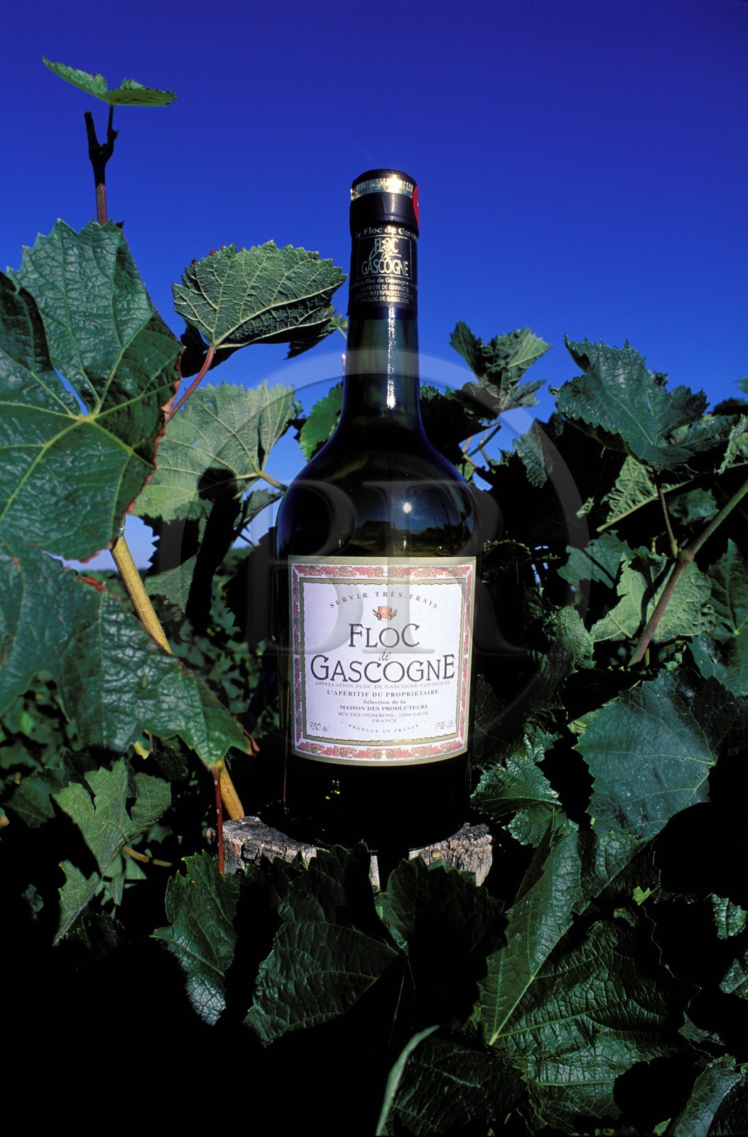 France, Gers (32), Eauze, bouteille de Floc de Gascogne