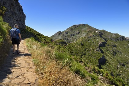 Portugal, Madeira Island, Vereda do Areeiro hike between Pico Ruivo (1862m) and Pico Arieiro (1817m), hiker on the trail that climbs from Achada do Teixeira and the Pico Ruivo in the background