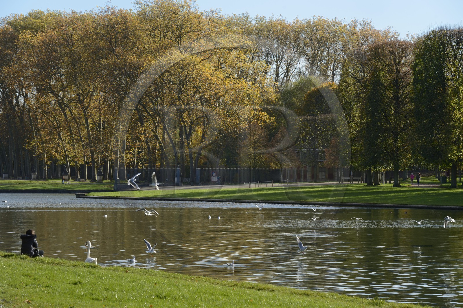 France, Yvelines (78), parc du château de Versailles, classé Patrimoine Mondial de l'UNESCO, le Grand Canal