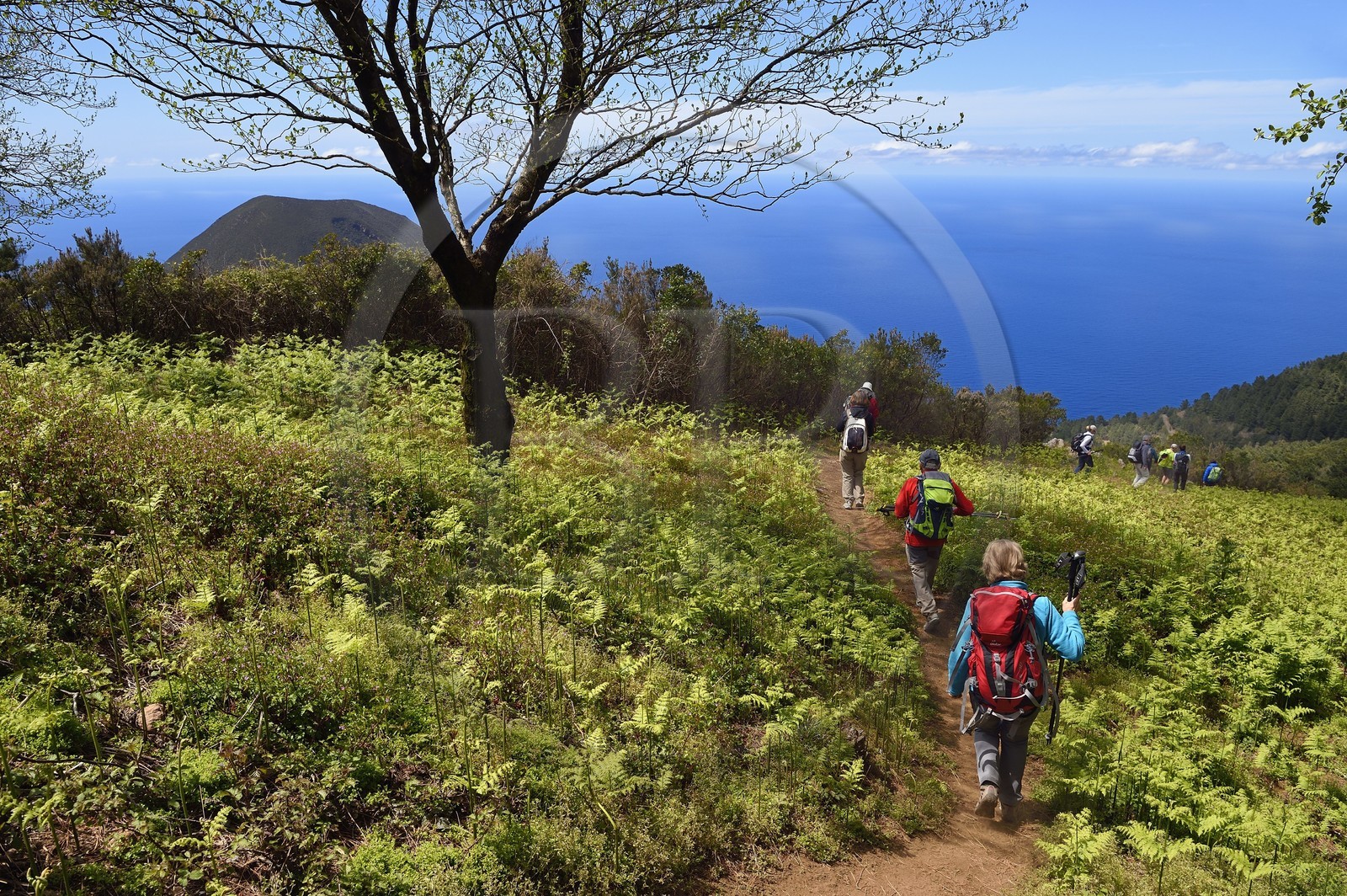 Italie, Sicile, iles Eoliennes, classées Patrimoine Mondial de l'UNESCO, Ile de Salina, randonneurs descendant du Monte Fossa delle Felci, le Monte dei Porri en arrière plan