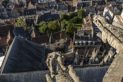 France, Nièvre (58), Nevers, cathédrale Saint-Cyr-et-Sainte-Julitte, gargouilles en haut de la tour Bohier qui surplombe la vieille ville
