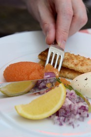 Sweden, Vasterbotten County, Umea, restaurant Rex, whitefish roe, classic trimmings and pan-fried bread