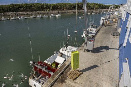 France, Vendée (85), Saint-Gilles-Croix-de-Vie, bateau à quai à la criée du port de pêche