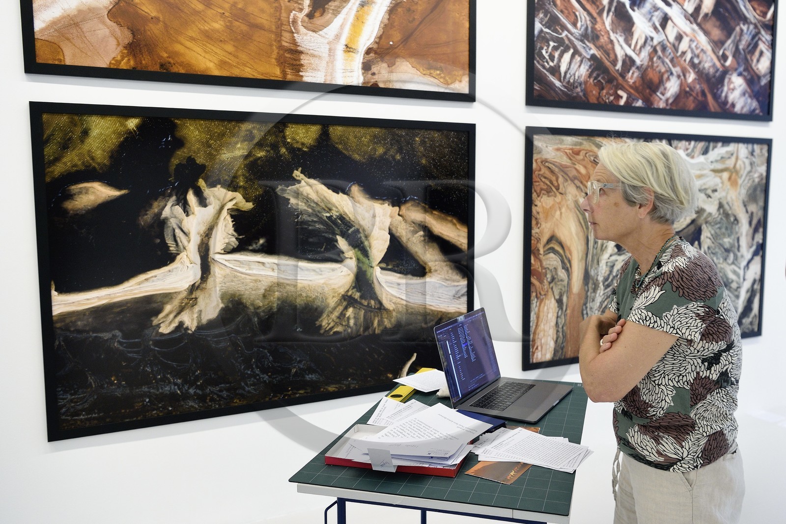 France, Var (83), la rade de Toulon, La Seyne-sur-Mer, quartier de Tamaris, la villa Tamaris, centre d’art consacré à l’exposition de l’art contemporain, Catherine Arthus-Bertrand commissaire de l'exposition de photographies Legacy de Yann Arthus-Bertrand