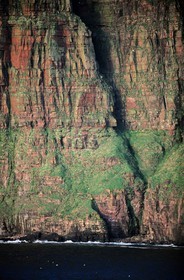 Royaume-Uni, Ecosse, îles Orcades, falaises de la côte occidentale de l'île de Hoy