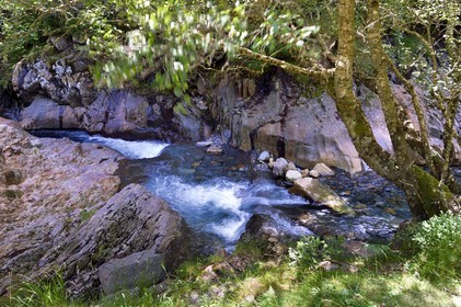 France, Hautes-Pyrénées (65), Saint-Lary-Soulan, vallée du Rioumajou, la (rivière) Neste de Rioumajou