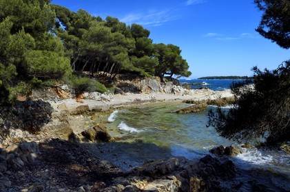France, Alpes-Maritimes (06), Cannes, Iles de Lérins, Ile Sainte-Marguerite, pointe du Dragon