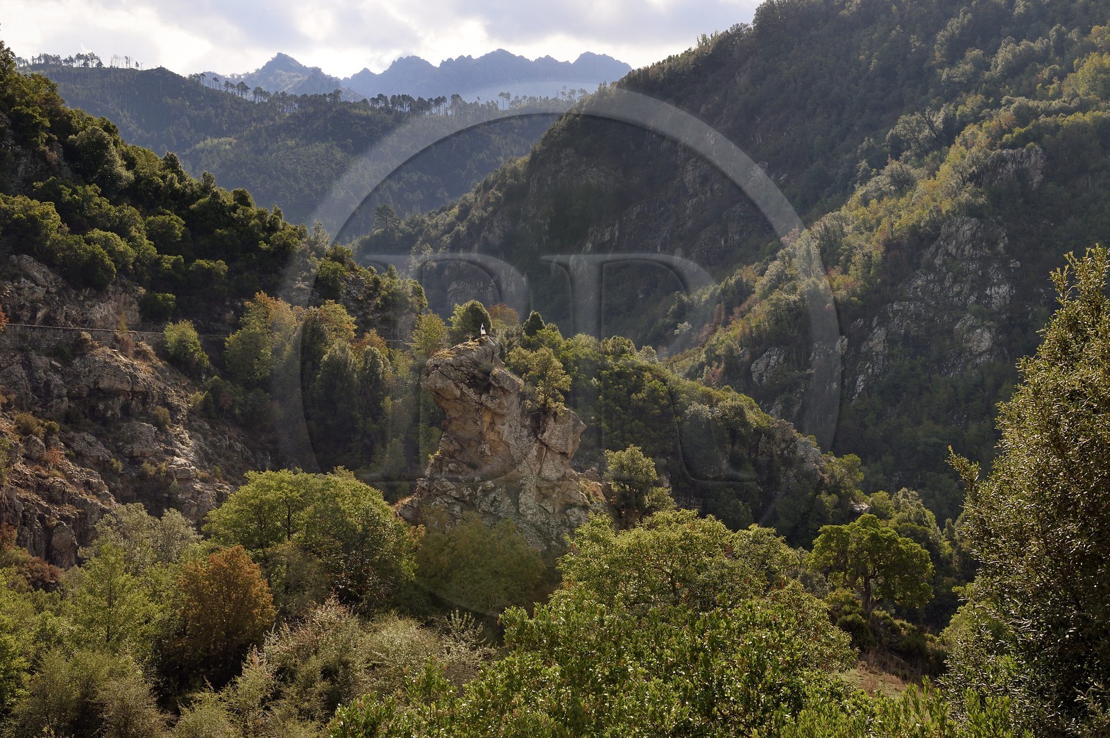 France, Corse-du-Sud (2A), Vallée du Prunelli, gorges du Prunelli