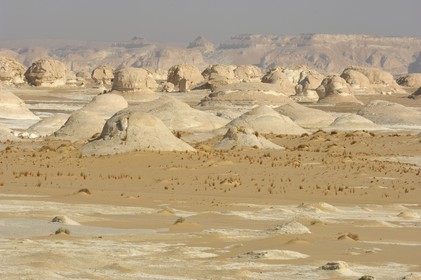 Egypt, Libyan Desert, the White Desert North of Farafra