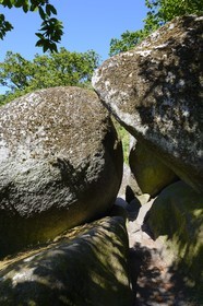 France, Finistere, Parc Naturel Regional d'Armorique (Armorique Natural Regional Park), Huelgoat, granitic chaos of the Huelgoat forest