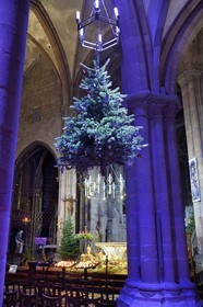 France, Bas Rhin, Strasbourg, Selestat, the fir trees suspended under the arches of the nave of the Saint-Georges church are traditionally decorated with apples, bredele, balls taking into account an evolution over time