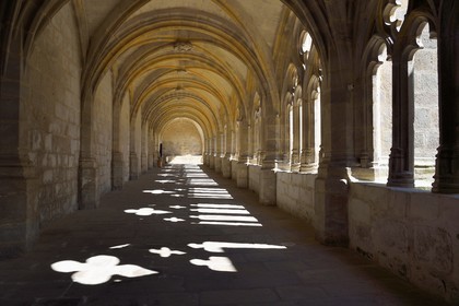 France, Haute-Loire (43), Parc naturel régional Livradois-Forez, abbaye de La Chaise-Dieu, le cloitre accolé à l'église abbatiale