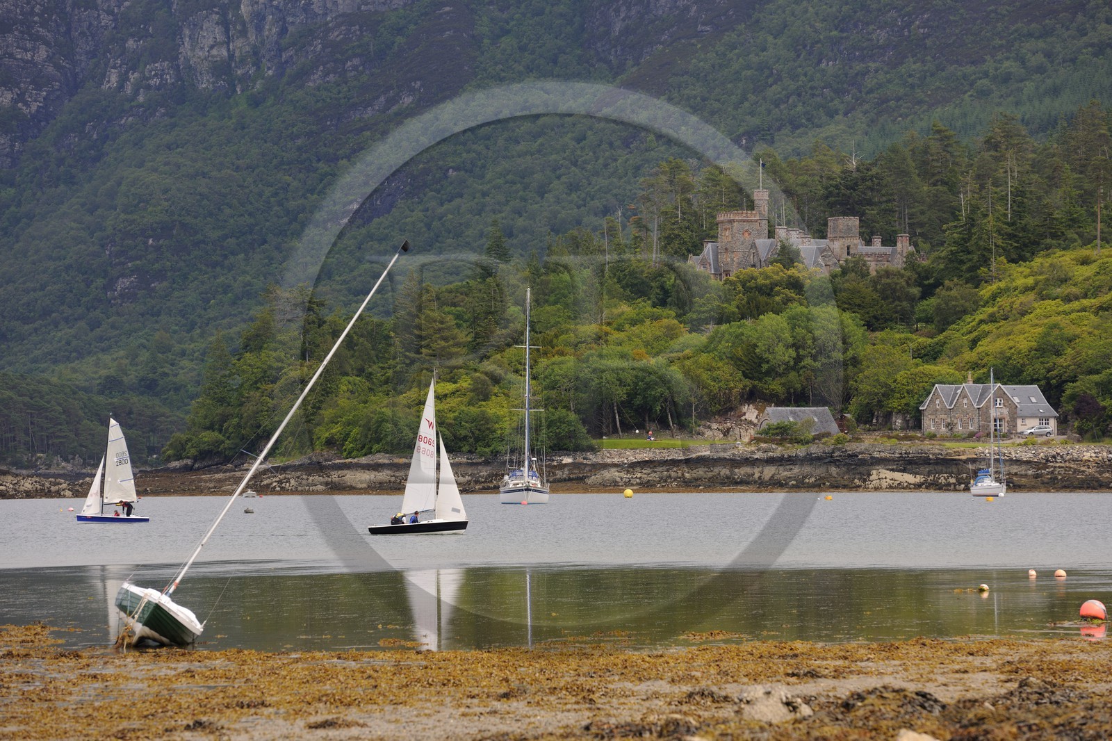 Royaume-Uni, Ecosse, Highland, Loch Carron, le village de Plockton et le chateau de Duncraig