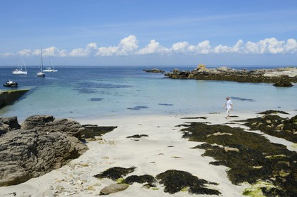 France, Finistère (29), La Foret Fouesnant, archipel des Glénan, Ile aux Moutons